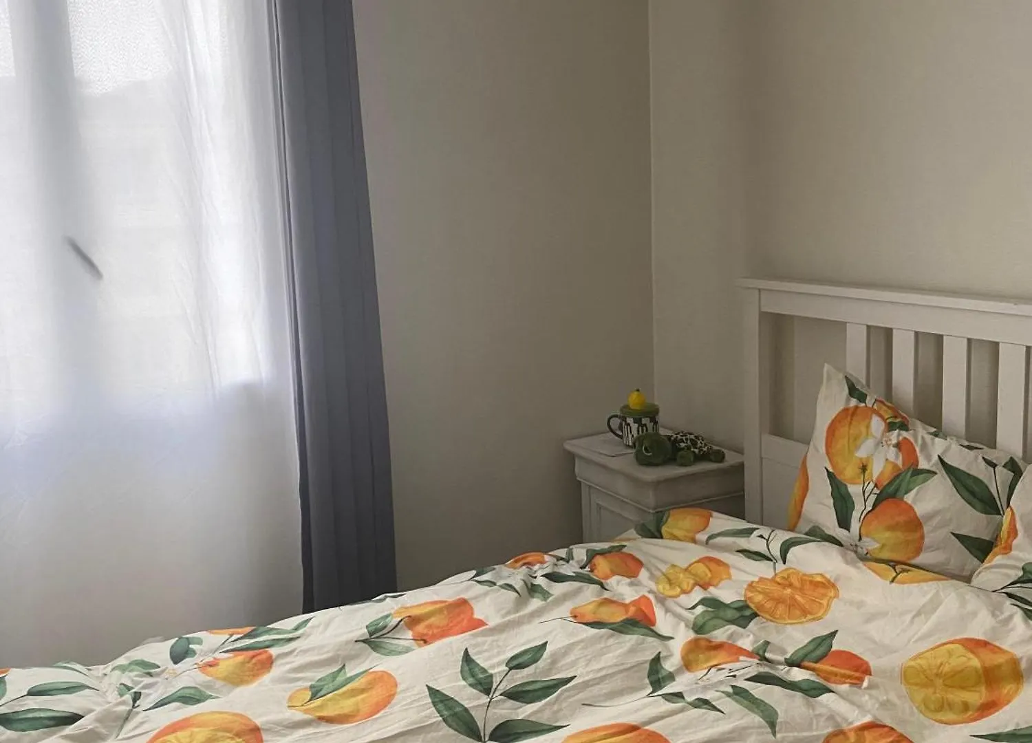 Appartement Cosy T2 Proche De L Hyper Centre De Grenoble