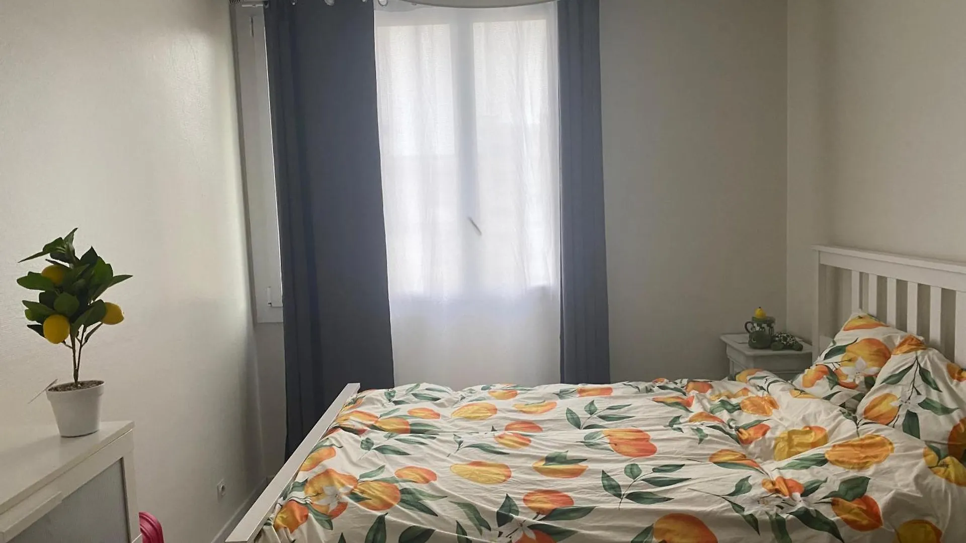 Cosy T2 Proche De L Hyper Centre De Grenoble location